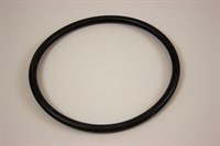 O-Ring, Swim & Fun Swimmingpool (für Filtertank)
