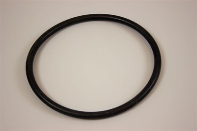 O-Ring, Swim & Fun Swimmingpool (für Filtertank)