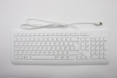 Lenovo - USB Keyboard Slim GB - White