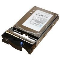 IBM - 300GB 15K SAS 3.5" 6GB HS HDD