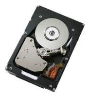 IBM - 300GB 15K 3.5-inch HDD for DS3