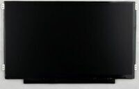 HP - Display Raw Panel