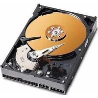 CoreParts - 40GB 3,5" IDE 5400rpm