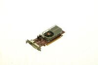 HP - 256MB PCIe graphics card with