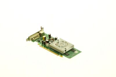HP - 256MB NVIDIA GeForce 8400 GS