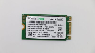 Lenovo - 256GB M.2 PCIe NVMe Solid