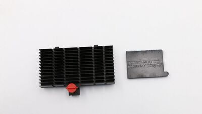 Lenovo - M.2 HS for WS