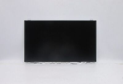 Lenovo - 17.3" FHD IPS anti-glare