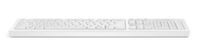 HP - WHT UNVRSL Katydid wired USB K