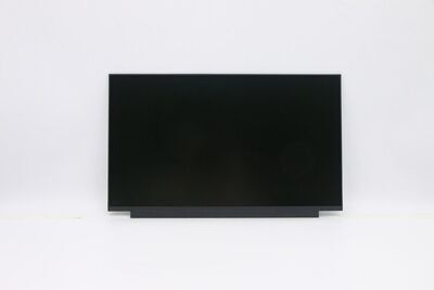 Lenovo - 15.6" HD TN display panel,