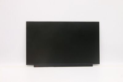 Lenovo - 15.6" HD TN laptop display,