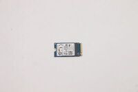 Lenovo - 256GB M.2 PCIe NVMe SSD
