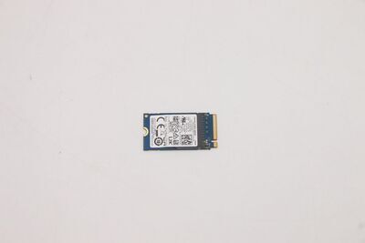 Lenovo - 256GB M.2 PCIe NVMe SSD