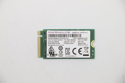 Lenovo - 256GB PCIe 2242 M.2 SSD