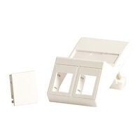 Lanview - Wall plate, angled, for 2 x