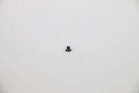 Lenovo - Screw M 2.0*2.3 L 81Q4