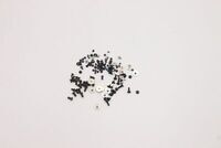 Lenovo - Lenovo compatible screw kit
