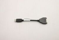 Lenovo - DisplayPort to DVI dongle