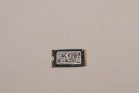 Lenovo - 256GB M.2 2242 NVMe SSD