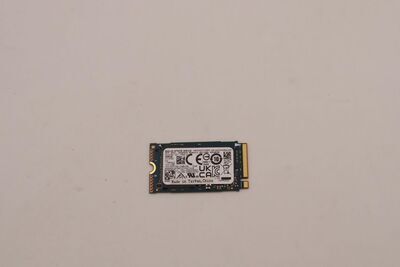Lenovo - 256GB M.2 2242 NVMe SSD
